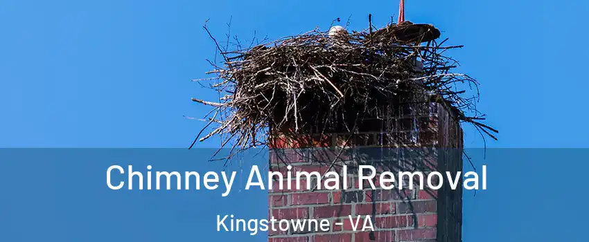  Chimney Animal Removal Kingstowne - VA