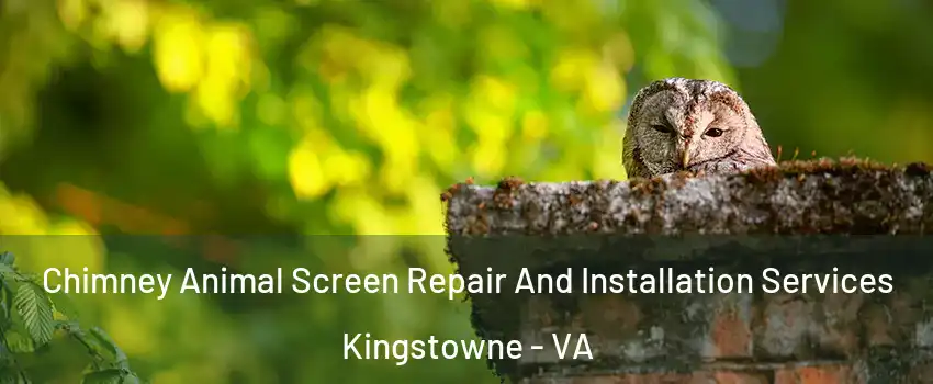  Chimney Animal Screen Repair And Installation Services Kingstowne - VA