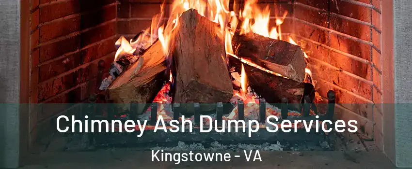  Chimney Ash Dump Services Kingstowne - VA
