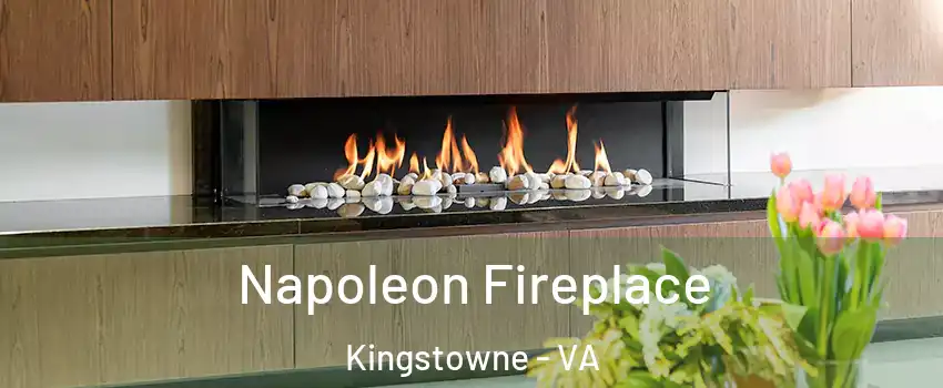  Napoleon Fireplace Kingstowne - VA
